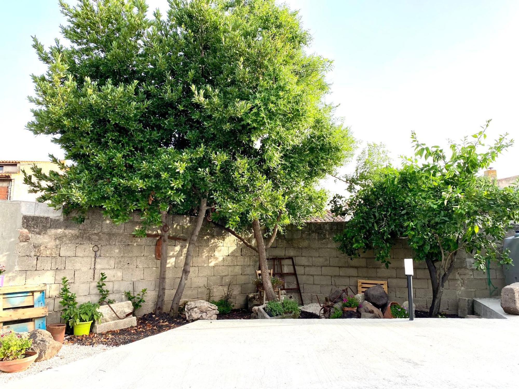 Appartamento Casa Mora San Vero Milis Esterno foto